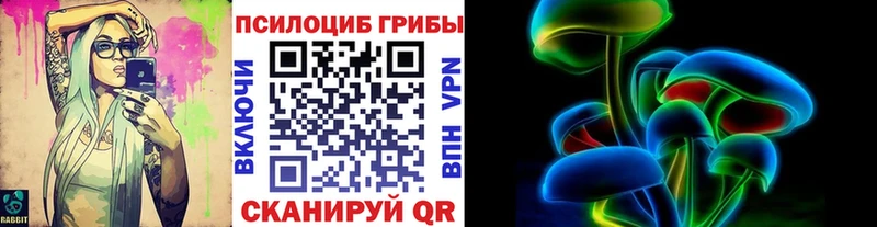 продажа наркотиков  нарко площадка какой сайт  Псилоцибиновые грибы GOLDEN TEACHER  Ессентуки  ОМГ ОМГ ССЫЛКА 