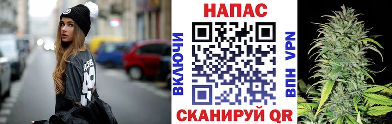 Марихуана конопля  кракен как зайти  Ессентуки 